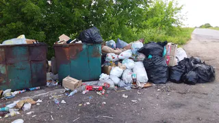 Жители Коростова пожаловались на мусор на дороге от Шумаши к Заокскому