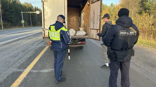 На трассах Коми нашли оружие и наркотики во время масштабных проверок