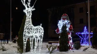 250 новогодних светодиодных конструкций украшают Брянск