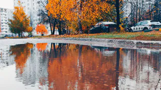 Хмурые дни: в Нижнекамске ожидаются по-осеннему прохладные выходные