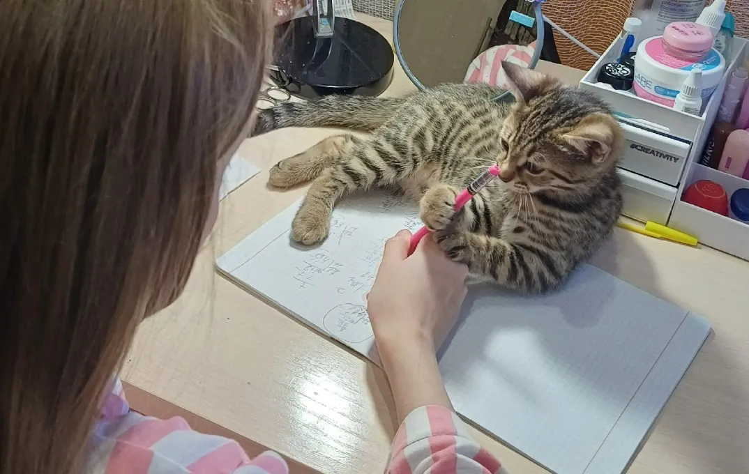 30 лет отработала учителем в школе - по первому уроку определяю судьбу ребенка: вот что говорит об успехе