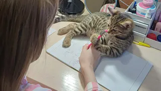 30 лет отработала учителем в школе - по первому уроку определяю судьбу ребенка: вот что говорит об успехе