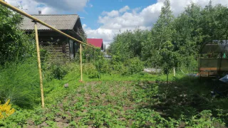 Сразу заберут участок: всем, кто владеет землей - новые требования с 1 августа