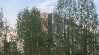 28 мая принесет в Коми "плюс" на всю территорию: от +4 до +30°C