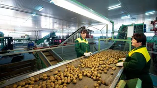 Проекты минсельхоза РТ могут получить субсидию в 20%