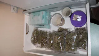 Житель Коми превратил квартиру в наркоплантацию