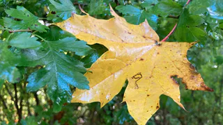 В выходные в Рязани будет холодно
