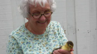 В старости научитесь быть «холодным»: никогда не отвечайте на эти 7 вопросов