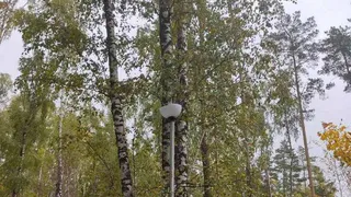 В Заречном вандалы расстреляли уличные фонари из пневматического оружия