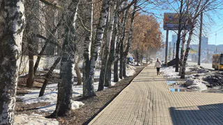 Сухая ясная погода ждет жителей Нижнекамска 25 марта