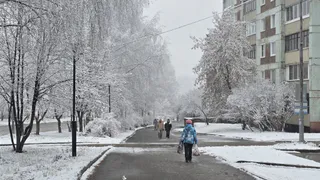 Пауло Коэльо дал совет всем мужчинам, которые ушли от своих жен. Цитата, которая пробирает до слез