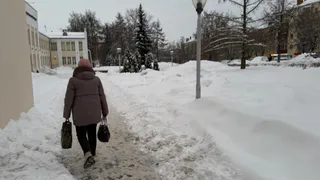 Чрезмерные выбросы оксида азота обнаружили в Рязани специалисты