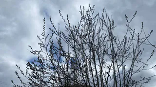 Апрель в Коми завершается типичной для сезона переменчивой погодой: и солнце, и дождь, и снег