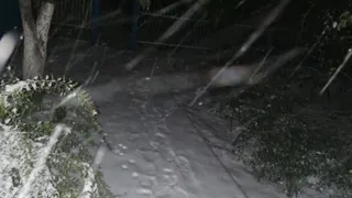 Жители Рязани засняли первый снег вечером 26 октября