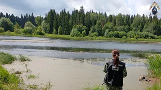 По факту гибели ребенка на пруду в Удмуртии возбуждено уголовное дело