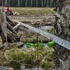 Под Кольчугином из-за арендатора участка мог случиться лесной пожар