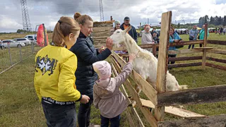 Россияне отдохнут сразу 9 дней подряд в июне: длинные выходные и сокращенная рабочая неделя