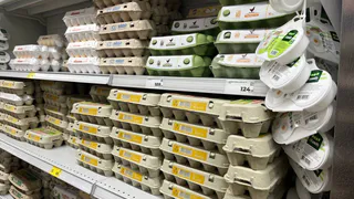 Почему работники птицефабрик избегают яиц категории СО: вот почему стоит их обходить стороной — запомните навсегда