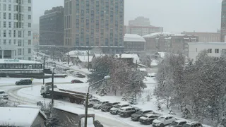 Жители Рязани заплатили 22 миллиона рублей штрафов за парковку на газонах