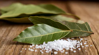 Лавровый лист засыпаю солью — весь июнь не нарадуюсь своей хитрости: полезный лайфхак для всех ленивых домохозяек