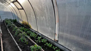 Удобрения, которые сметают с полок до начала сезона: что стоит купить дачнику уже сейчас