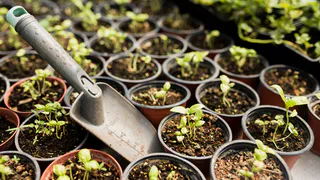 Лучший сезон для начала дачных работ: готовьтесь к посеву