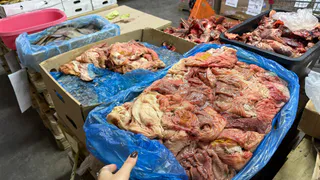 Меня все отговаривали покупать мясо в Светофоре: уперся купил и приготовил - рассказываю о качестве и готовом блюде