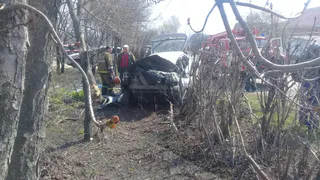 В Михайлове водитель «четырнадцатой» врезался в дерево