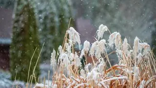 Встречаем первые заморозки