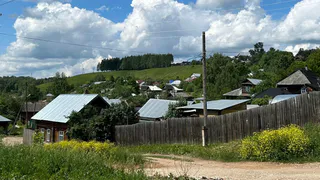 Пожили в деревне и сразу все поняли: вот почему там никто больше не хочет жить хозяйством