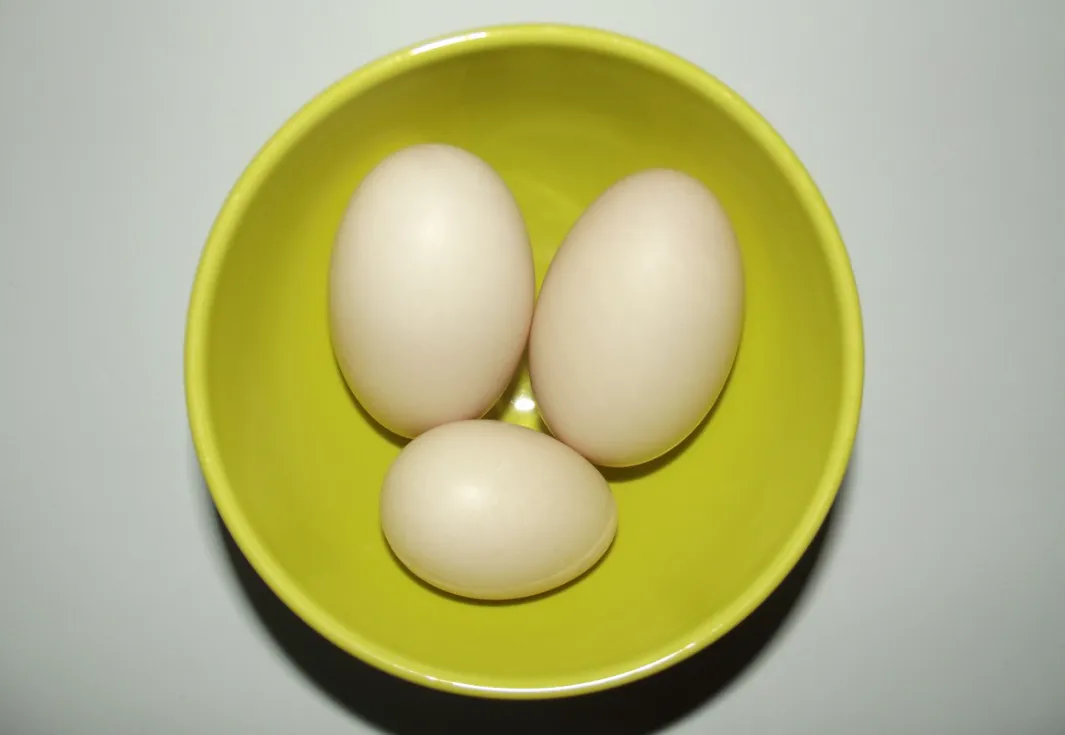 Почему в магазинах не продают утиные яйца: оказывается, есть секрет, который продавцы стараются не раскрывать