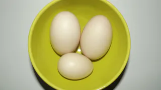Почему в магазинах не продают утиные яйца: оказывается, есть секрет, который продавцы стараются не раскрывать