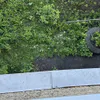 В Муроме 3-летняя девочка выпала из окна, опершись на москитную сетку