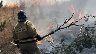 Пиролог высказался о причине пожаров в Рязанской области в 2022 году