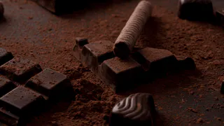 В шоколаде этих 10 брендов пальмы не обнаружили - специалисты Роскачества рекомендуют