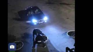 В Рязани двое парней сдвинули клумбу и проехали на территорию Лесопарка