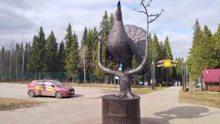 В Коми 20 мая радует: днём без осадков, солнце и "плюс" во всех районах