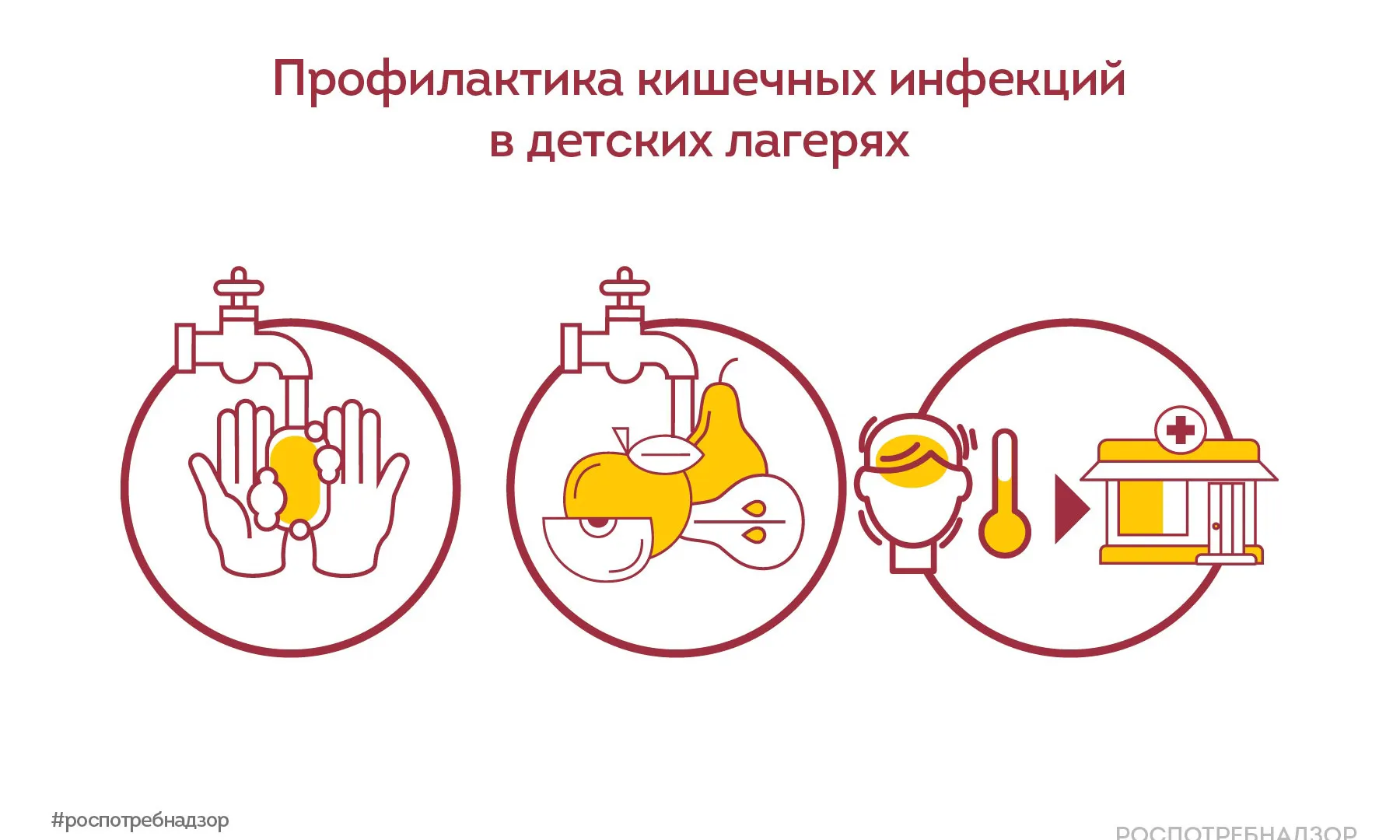 Профилактика острых кишечных инфекций и пищевых отравлений в детских лагерях