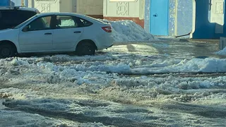 «За эти 5 дней снегопада трактор ни разу не заехал»