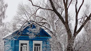 Резкое похолодание: прогноз погоды на неделю 