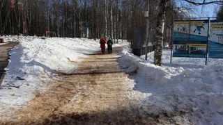 Пенсионный возраст повысят на 4 года: горестный сюрприз ждет россиян уже с 13 марта