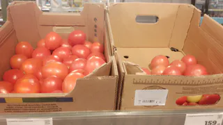 Не спешите выбрасывать гнилые помидоры: из них можно сделать удобрение, чистящее средство и даже заготовки на зиму