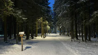 В Коми 8 декабря ожидаются мороз, снег и возможный гололёд