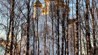 21 ноября установит в Коми режим легкого мороза с метелями на юго-западе