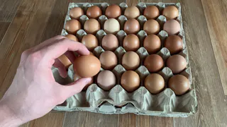 Даю в корм простой витамин и куры несутся как угорелые: Яйца крупные и вкусные – собираю лотками