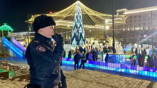 Новогодняя ночь в Челябинской области прошла без происшествий