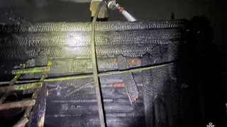 За 11 месяцев 2024 года в Пензенском регионе произошло свыше 2500 пожаров