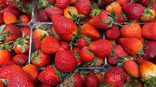 Клубника растет как бешеная: агроном назвал главный секрет весенней подкормки – для ягод готовьте огромные ведра