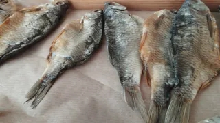 В Пензенской области выявили десятки нарушений на водоёмах