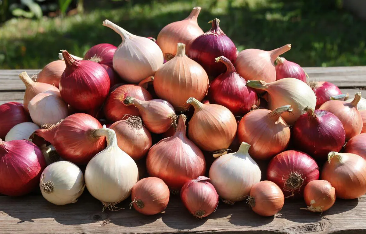 Цены в Татарстане: лук подорожал почти на 40%, сливочное масло — на треть